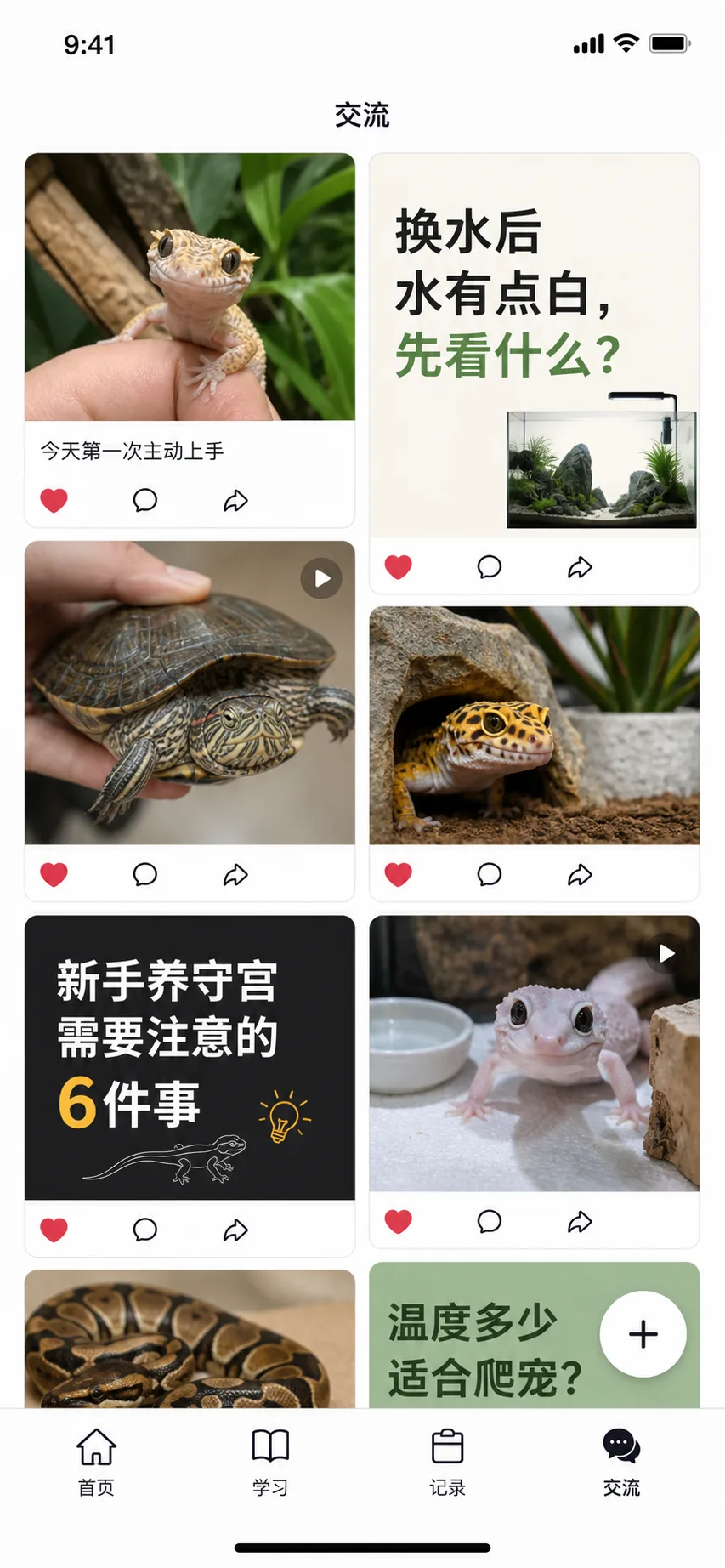 小逆鳞交流页面